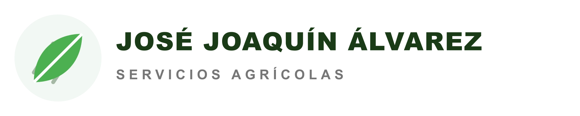 Gemini Svg 1 | José Joaquín Alvarez Montalban